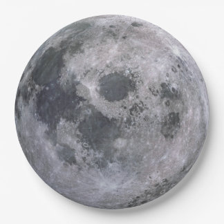 The Full Moon Disposable Paper Plates