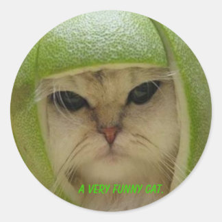 The funny cat sticker. classic round sticker