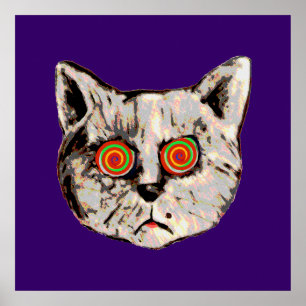 the funny mad cat poster