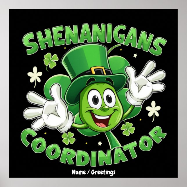  The Funny Shenanigans Coordinator  Poster (Front)