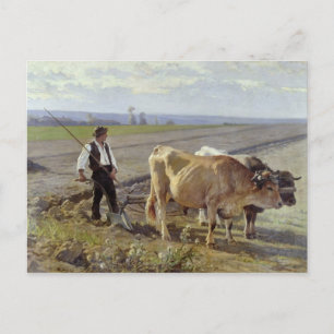 The Furrow, 1897 Postcard
