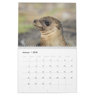 The Galapagos - 12 month wall calendar