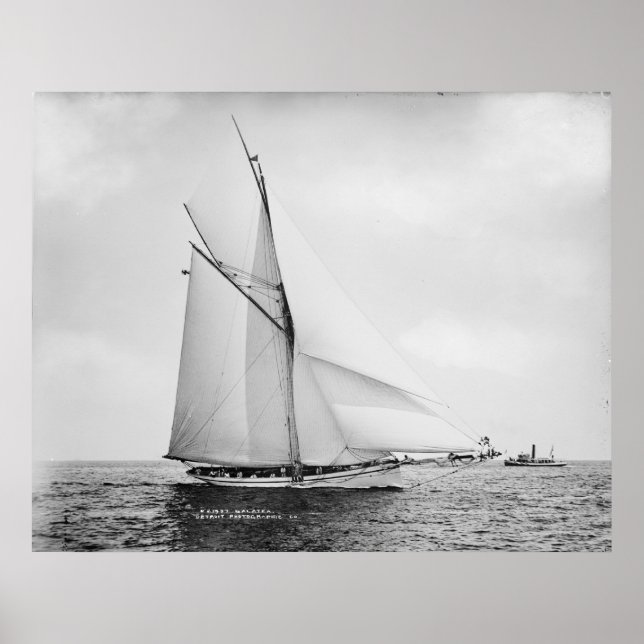 The Galatea Poster (Front)