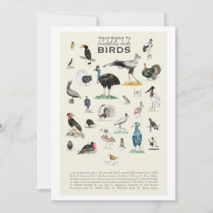 The Gallery of Delightfully Doofy Birds 5x7 Card