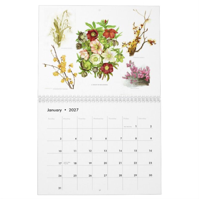 The Garden 2015 Calendar (Jan 2027)