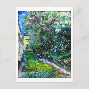 The Garden at the Asylum at Saint-Rémy, Van Gogh Postcard