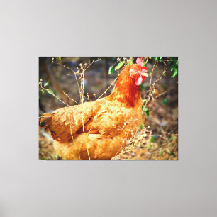 The Garden Inspector Canvas Print