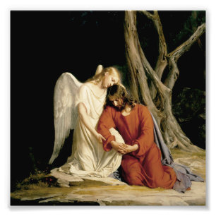 The Garden of Gethsemane (Luke 22:39-46) Photo Print