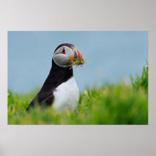 The Gatherer Puffin Poster