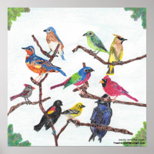 The Gathering Colourful Songbirds Poster