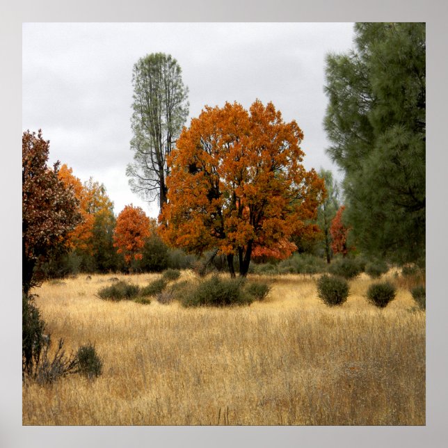 The Gathering... Poster (Front)