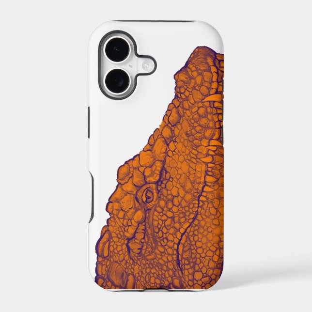 THE GATORS GLANCE (Back)