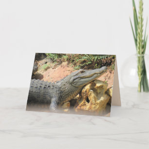 The Gator's Pillow - Alligator Folded Card