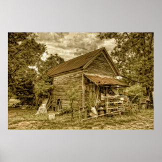 The General Store Poster