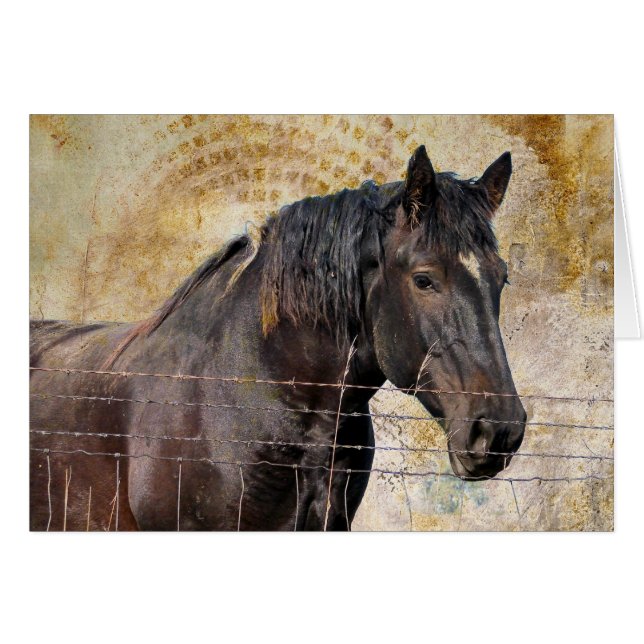 The Gentle One, A draught horse (Front Horizontal)