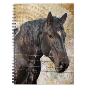 The Gentle One, A draught horse Notebook