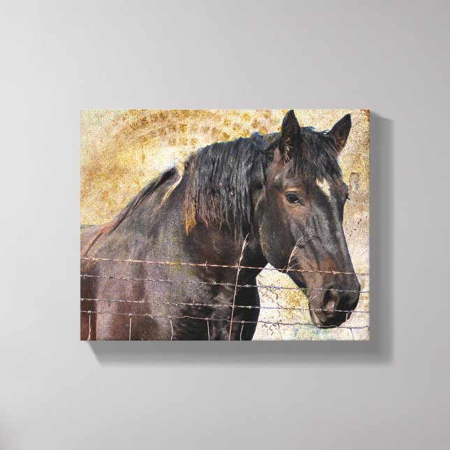 The Gentle One Canvas Print (Front)