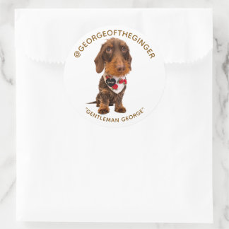 The George | Modern Pet Influencer Custom Photo 3" Classic Round Sticker