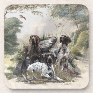 The German Shorthaired Pointer or Deutsch Kurzhaar Coaster