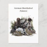 The German Shorthaired Pointer or Deutsch Kurzhaar