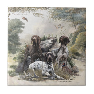 The German Shorthaired Pointer or Deutsch Kurzhaar Tile