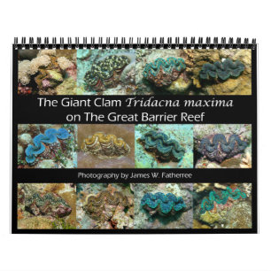 The Giant Clam Tridacna maxima by J.W. Fatherree. Calendar