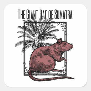 The Giant Rat of Sumatra Holmesian Sherlock Holmes Square Sticker