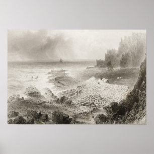 The Giant's Causeway from above Poster
