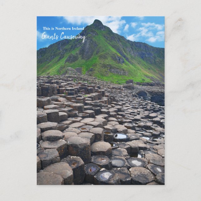 The Giant's Causeway -Northern Ireland Postcard (Front)