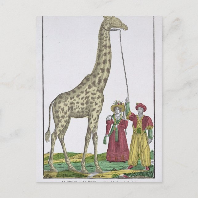 The Giraffe Presented to the King Postcard (Front)