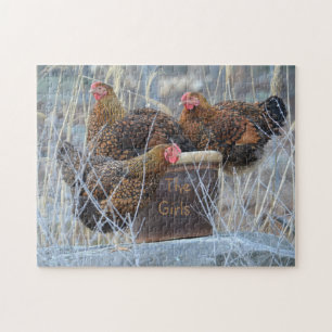 "The Girls" Chicken Puzzle