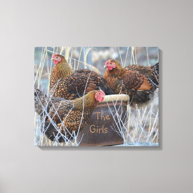 "The Girls" Chicken Wrapped Canvas (Front)