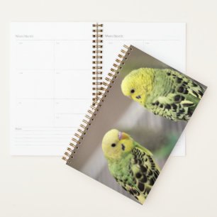 The girls planner