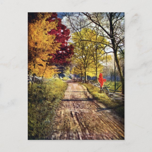 The Glory of Autumn Trees Postcard (Front)