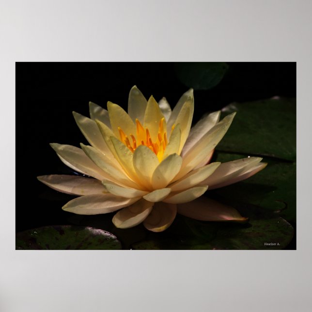 The Glow Poster (Front)