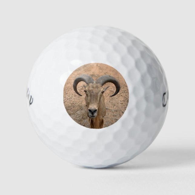 The Goat Golf Balls - Add Your Picture (Front)