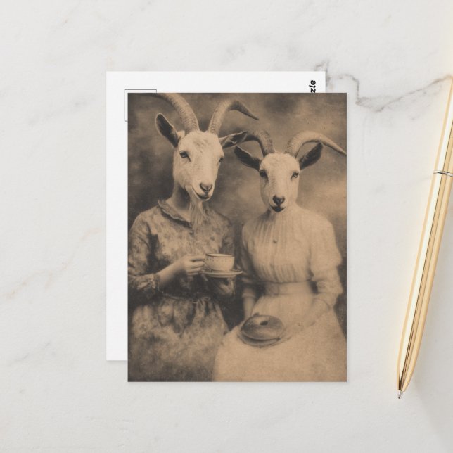 The Goat Women Tea and Bagel Retro Sepia Postcard (Front/Back In Situ)
