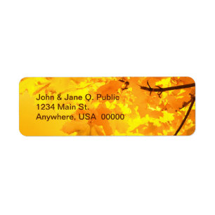 The Gold of Autumn