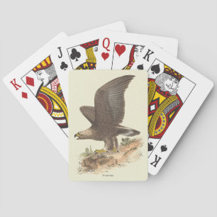 The Golden Eagle (Aquila chrysaetos) NY Bird Image Playing Cards