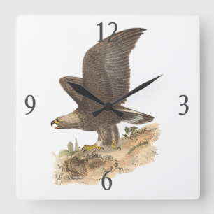 The Golden Eagle	(Aquila chrysaetos) NY Bird Image Square Wall Clock