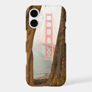The Golden Gate Bridge Trees from Overlook View
