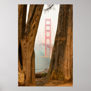 The Golden Gate Bridge   Trees from Overlook View Poster