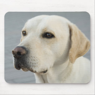 The Golden Labrador Mouse Mat
