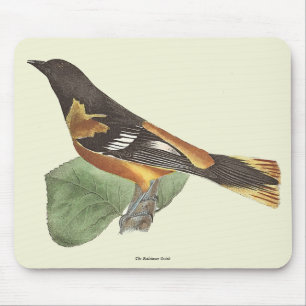 The Golden or Baltimore Oriole (Icterus galbula) Mouse Mat