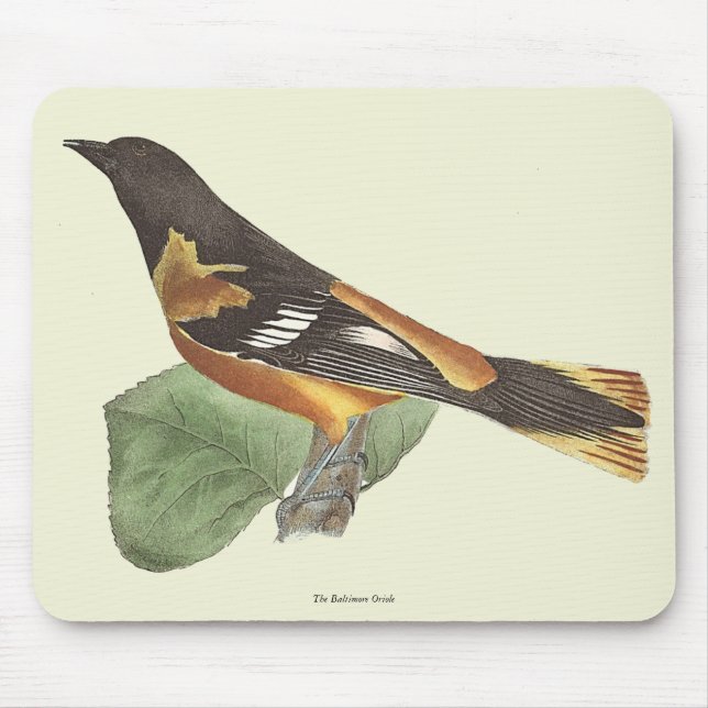 The Golden or Baltimore Oriole (Icterus galbula) Mouse Mat (Front)