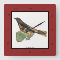 The Golden or Baltimore Oriole (Icterus galbula)