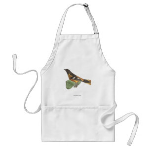 The Golden or Baltimore Oriole (Icterus galbula) Standard Apron