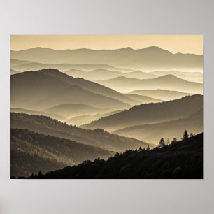 The Golden Silence: A Multi-Layered Study of Mist Poster