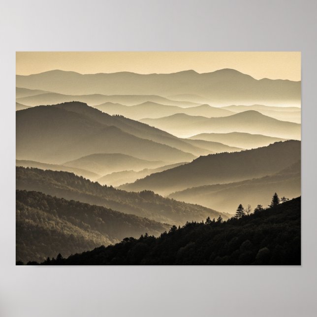 The Golden Silence: A Multi-Layered Study of Mist  Poster (Front)