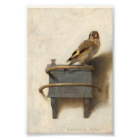 The Goldfinch by Carel Fabritius